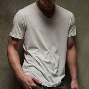 513. James Perse V-Neck Tee | Color: White